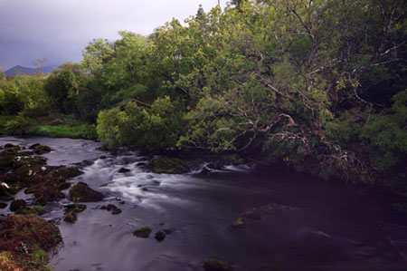 The River Caragh